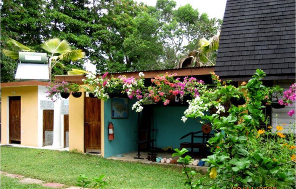 Secret Cabins At Firefly Beach Cottage ネグリル エクステリア 写真