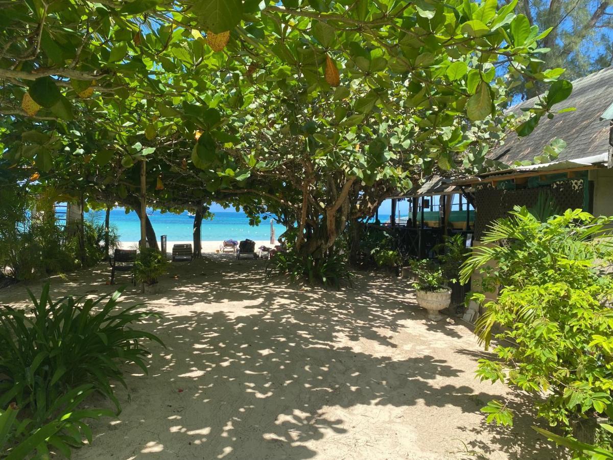 Secret Cabins At Firefly Beach Cottage ネグリル エクステリア 写真