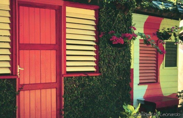 Secret Cabins At Firefly Beach Cottage ネグリル エクステリア 写真